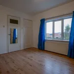 Rent a room of 184 m² in Den Haag