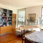 Rent 2 bedroom apartment of 60 m² in Padova