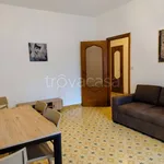 Rent 3 bedroom apartment of 80 m² in Torino