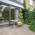 Rent 5 bedroom house of 146 m² in Haarlem