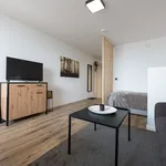 Miete 1 Schlafzimmer wohnung von 30 m² in Nürnberg