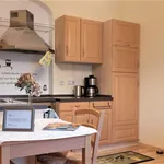 Rent 1 bedroom apartment of 31 m² in Torgau