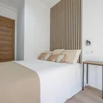 Rent 6 bedroom apartment in Valencia