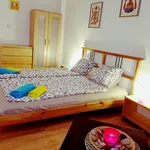 Rent 1 bedroom apartment of 30 m² in Prague