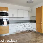 Rent 2 bedroom apartment of 50 m² in České Budějovice