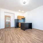 Pronajměte si 1 ložnic/e byt o rozloze 29 m² v Capital City of Prague