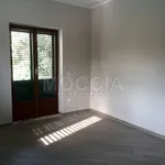 Rent 3 bedroom apartment of 100 m² in Caserta