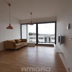 Rent 2 bedroom apartment in Brno