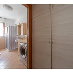 Rent 2 bedroom apartment of 68 m² in Milano