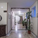 Rent 1 bedroom apartment of 65 m² in Roma