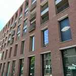 Rent 1 bedroom apartment in Hasselt