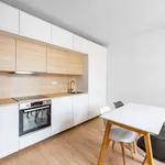 Rent 2 bedroom apartment of 50 m² in Prague