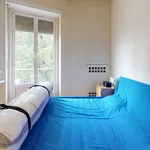 Rent 1 bedroom apartment in Milano