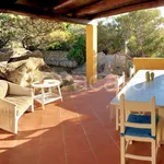 Rent 1 bedroom house of 70 m² in Arzachena