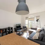 Rent 1 bedroom apartment of 50 m² in berlin