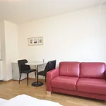 Miete 1 Schlafzimmer wohnung von 30 m² in Zürich