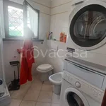 Rent 1 bedroom apartment of 45 m² in Milano