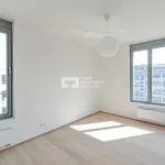 Rent 4 bedroom apartment of 110 m² in Prague