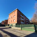 Rent 2 bedroom apartment of 45 m² in San Fermo della Battaglia