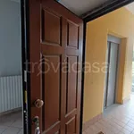 Rent 2 bedroom apartment of 55 m² in Asti