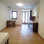 Rent 1 bedroom apartment of 35 m² in Roma