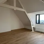 Huur 3 slaapkamer appartement van 120 m² in Rhenen