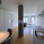 Rent 1 bedroom apartment of 50 m² in Bergamo