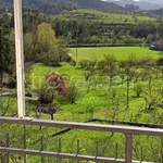 Rent 2 bedroom apartment of 50 m² in Mornese