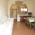 Rent 2 bedroom apartment of 54 m² in Pisa