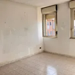 Rent 3 bedroom apartment of 75 m² in Rome