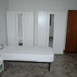 Rent a room in bologna