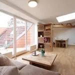 Rent 2 bedroom apartment of 100 m² in berlin