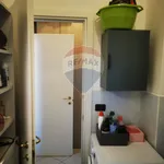 Rent 3 bedroom apartment of 85 m² in Bologna