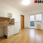 Rent 2 bedroom apartment of 43 m² in Brno