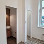 Rent 1 bedroom apartment in Ostrava