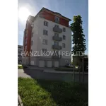 Pronajměte si 1 ložnic/e byt o rozloze 26 m² v České Budějovice