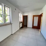 Rent 3 bedroom apartment of 82 m² in Nuremberg