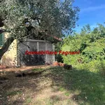 Rent 4 bedroom house of 90 m² in Velletri