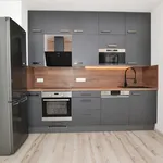 Rent 2 bedroom apartment of 49 m² in plzen