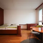 Rent 1 bedroom apartment of 30 m² in Prague