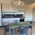 Rent 3 bedroom apartment of 84 m² in Riccione