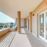 Rent 3 bedroom apartment of 90 m² in Roma