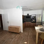 Rent 1 bedroom apartment in Chrudim