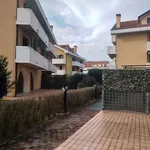 Rent 2 bedroom apartment of 60 m² in Padova