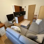 Rent 1 bedroom apartment of 21 m² in  ulice Tišnovská