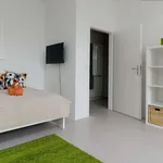 Rent 1 bedroom apartment of 30 m² in berlin