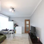 Rent 2 bedroom apartment of 47 m² in Krakow