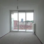 Rent 2 bedroom apartment of 122 m² in Amsterdam