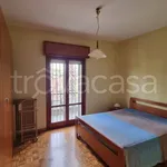 Rent 3 bedroom apartment of 80 m² in Roma