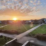 Rent 3 bedroom house in Auckland